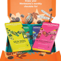 Vegan Chocolate Taster Bundle