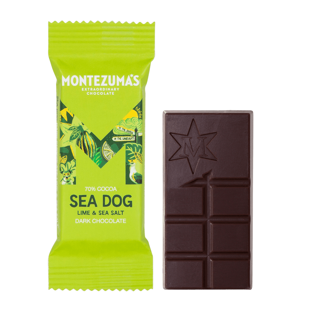 Sea Dog -  Dark Chocolate with Lime & Sea Salt Mini Bar - 25g