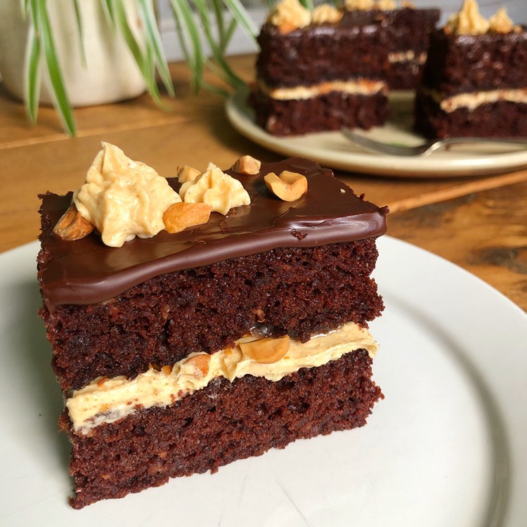 Chocolate and Peanut Butter Slices
